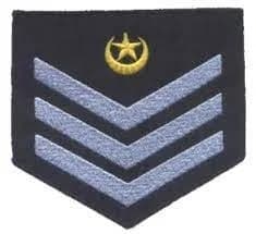 Chief Technician insignia